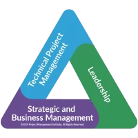 pmi-triangle